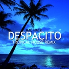 Mac Nack - Despacito (Tropical House Mix) (Tropical House Mix)