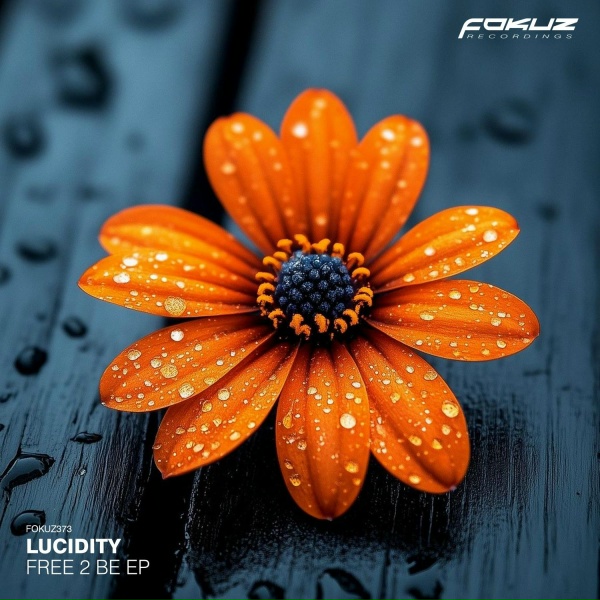 Lucidity - I Cry