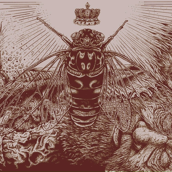 The Heavy Eyes - Home