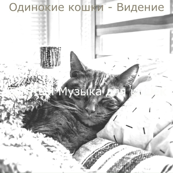 Богатый Музыка для кошек - Созерцая (Кошки)