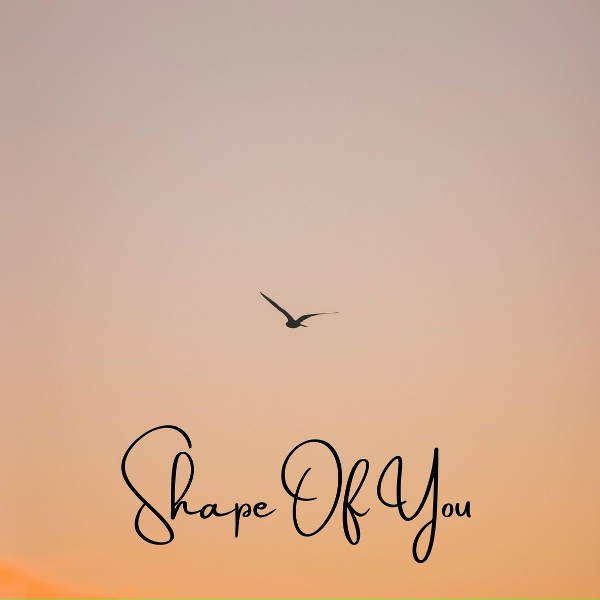 Taoufik Yatabaslam - Shape of You