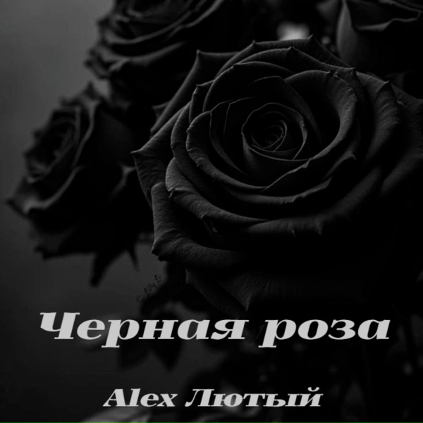 Alex Лютый - Чёрная роза