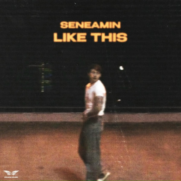Seneamin - Like this