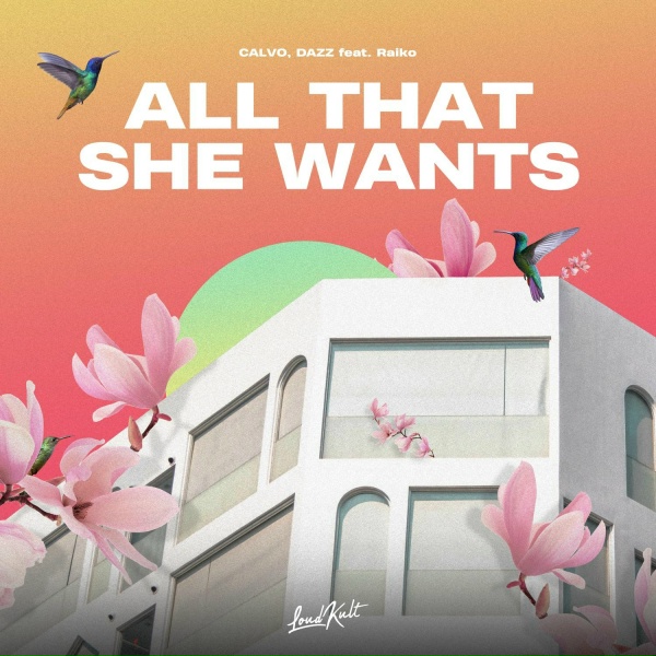 DAZZ, CALVO feat. Ra&iuml;ko - All That She Wants