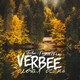VERBEE - Золотая осень (Techno Project Remix)