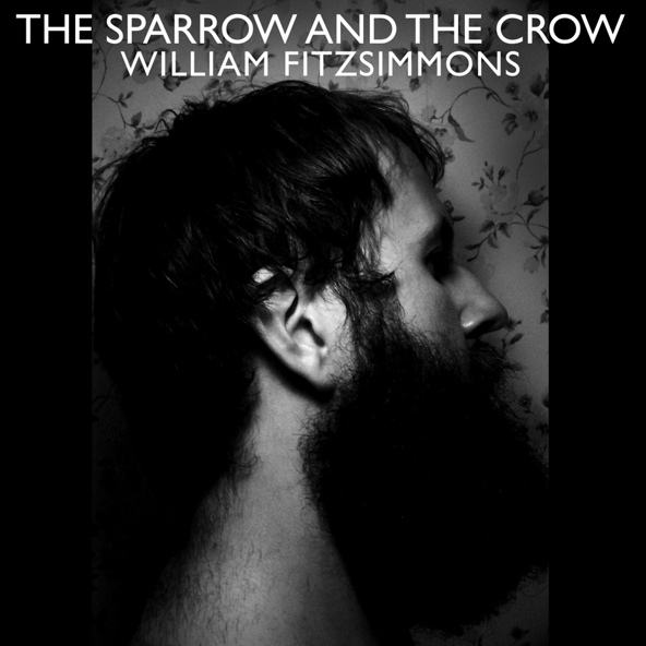 William Fitzsimmons - After Afterall