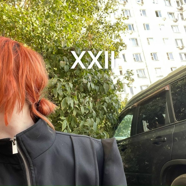 королевский XVII - 1,5