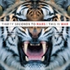 Thirty Seconds To Mars - Stranger In A Strange Land