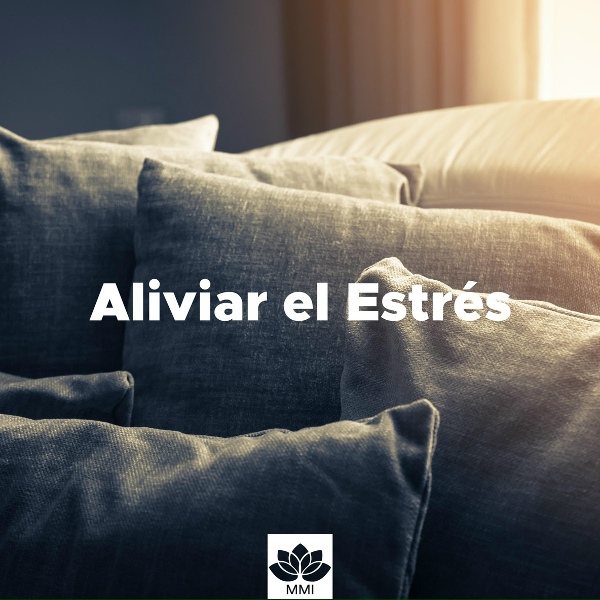 Musica para Dormir Dream House & Asian Zen Spa Music Meditation - Yms y Niams