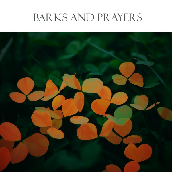 Croimor, Uri Sade, Amitay Lev feat. אוראל - Simple Self