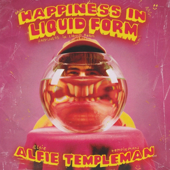 Alfie Templeman - Happiness In Liquid Form