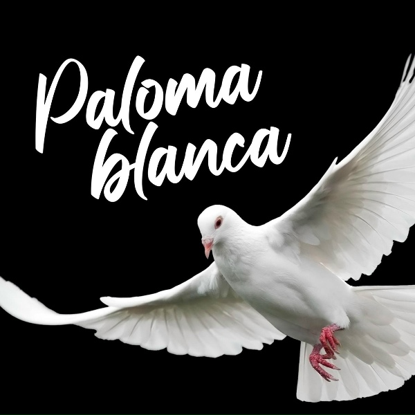 Orquesta L&iacute;rica de Barcelona - PALOMA BLANCA-XW-(4,01)pepe hernandez