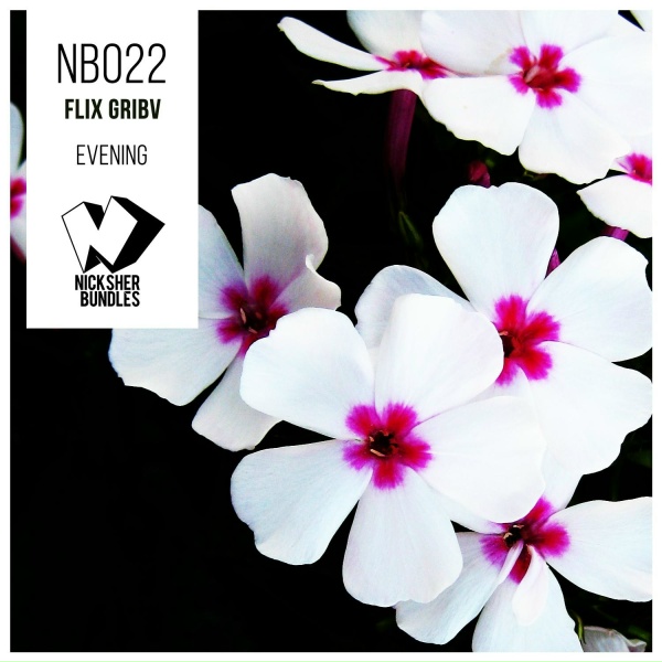 Flix Gribv - Evening (Original Mix)