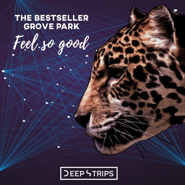 The Bestseller, Grove Park - Feel So Good