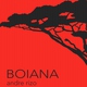 Andre Rizo - Boiana (Original mix) (Original mix)