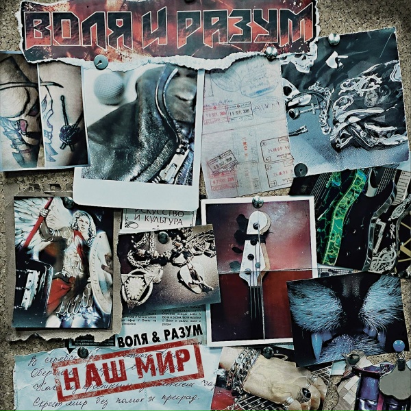 Воля и Разум - Читай между строк