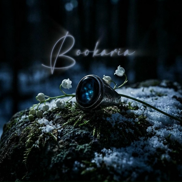 BookAria - Чернила