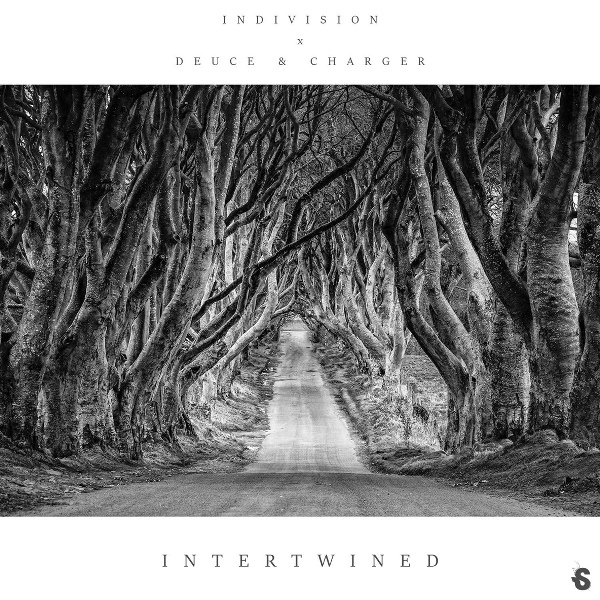 Indivision - Intertwined