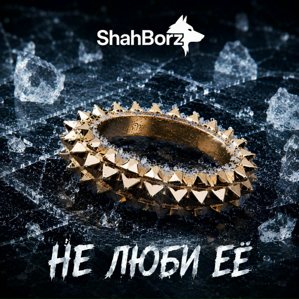 ShahBorz - Не люби её