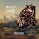 Sean Sago - Waiting (Original Mix) (Original Mix)