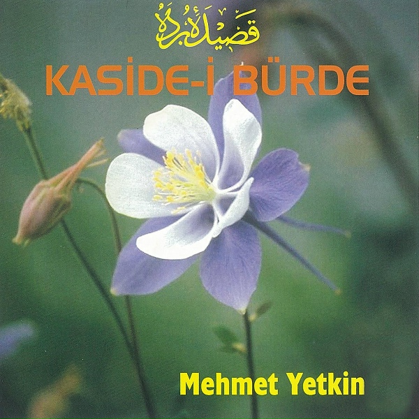 Mehmet Yetkin - Seyreyley&uuml;p Yandım