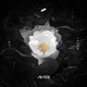 Avicii feat. Rita Ora - Lonely Together