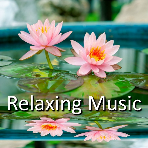 Music Body and Spirit - Study Music