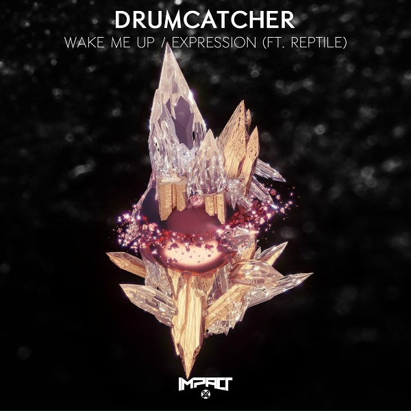 Drumcatcher