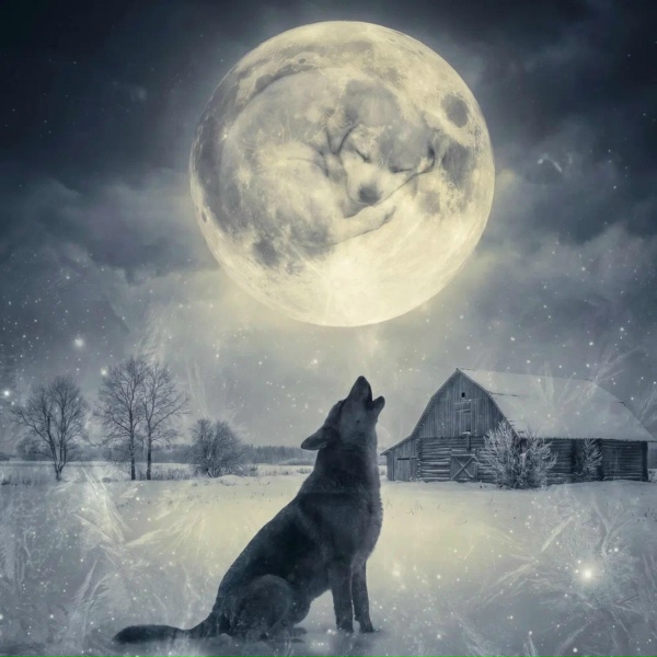 Зина Бомба - Песнь о собаке