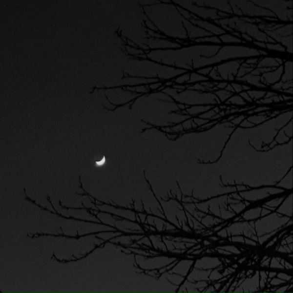 Night Lover - Stars
