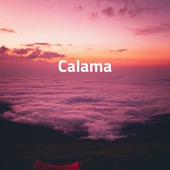 Adam Sick - Calama