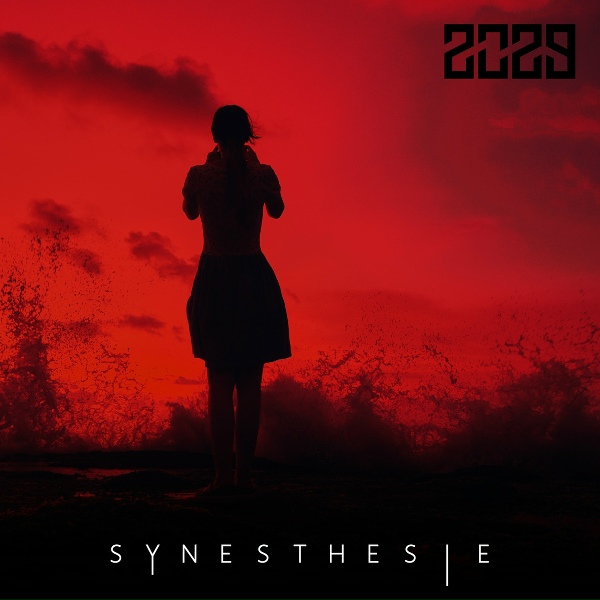 2029 - Myst&egrave;res &agrave; l'envers