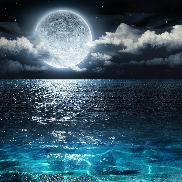 Avslappning Sound, Erotic Lounge Buddha Chill out Music Caf&eacute;, Musica De Piano Escuela - Relax