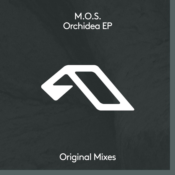 M.O.S. - Orchidea