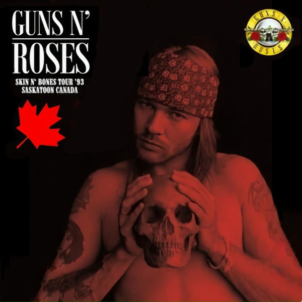 Guns N' Roses - Guitar Solo