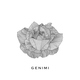 GENIMI - Унесёт ночь