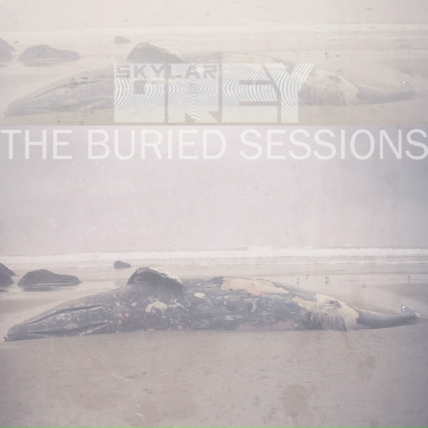 Skylar Grey - Coming Home
