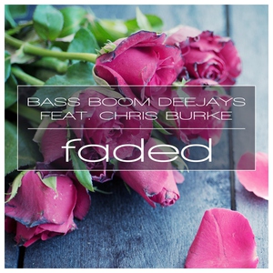 Bass Boom Deejays feat. Chris Burke feat. Chris Burke
