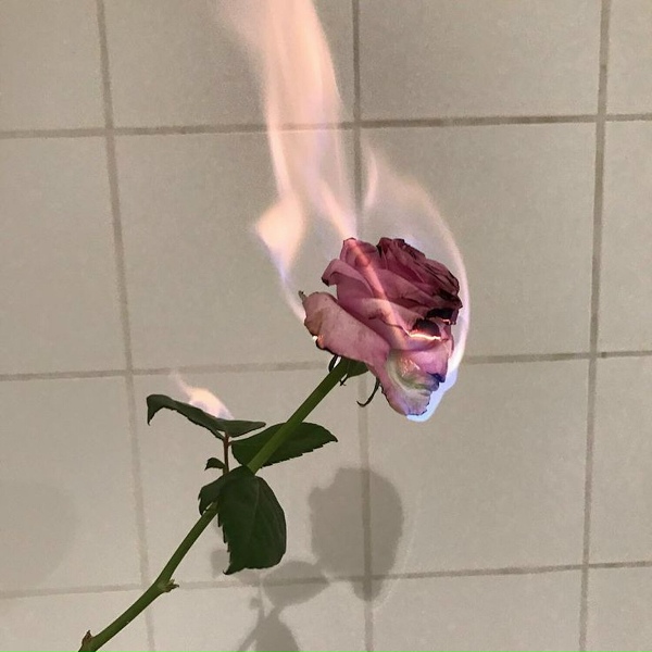 longlost - I Hate Everything About You