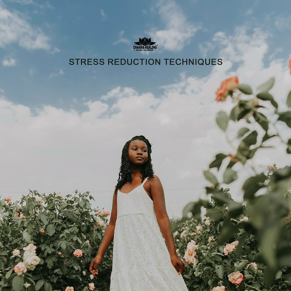 Chakra Healing Music Academy - Parth of Truth and Peace