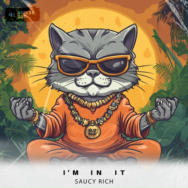 Saucy Rich - I'm in it