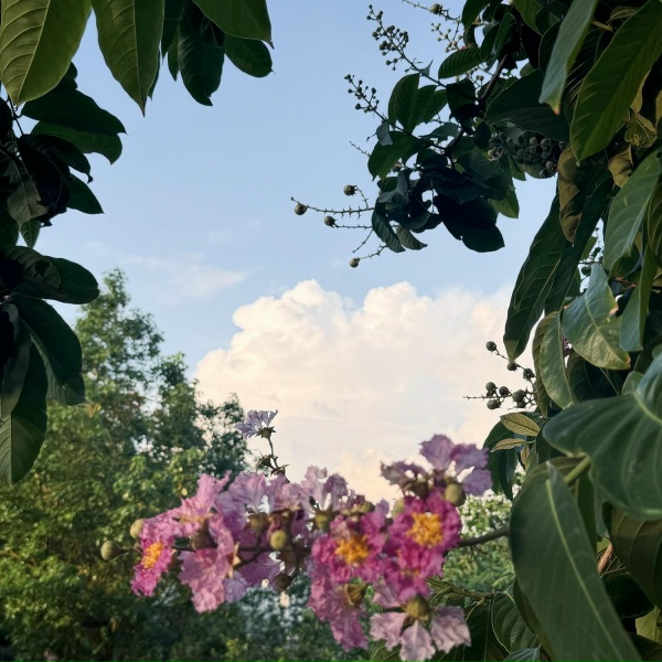 Sinyo - Floreo