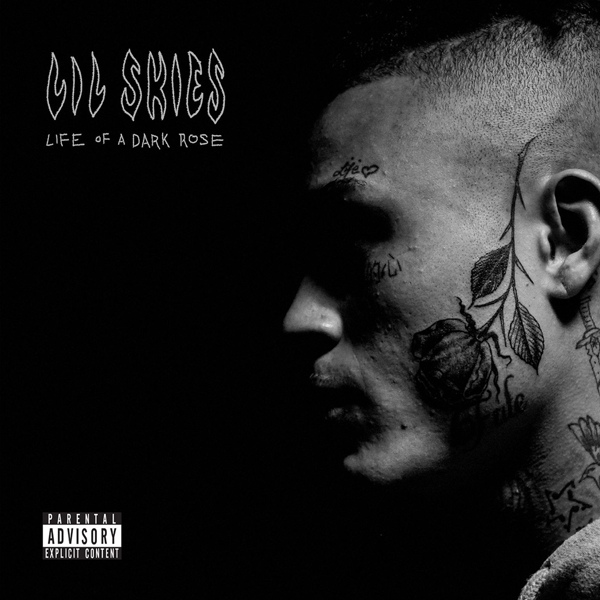 Lil Skies - Welcome to the Rodeo