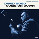 David Gogo - So into You