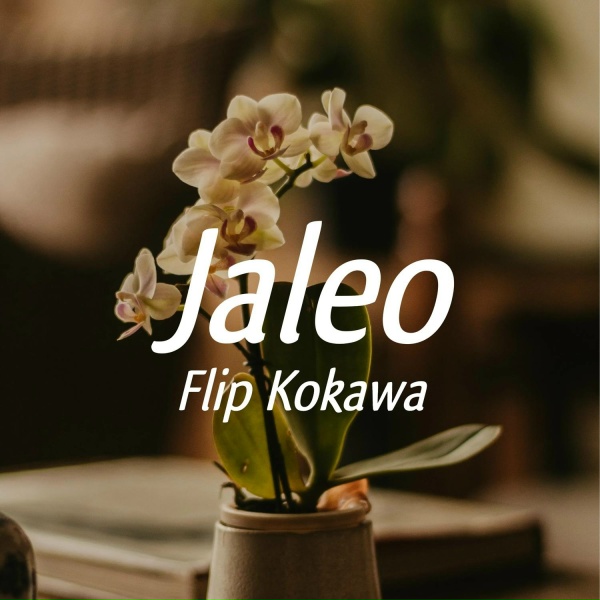 Flip Kokawa - Walk Vibration