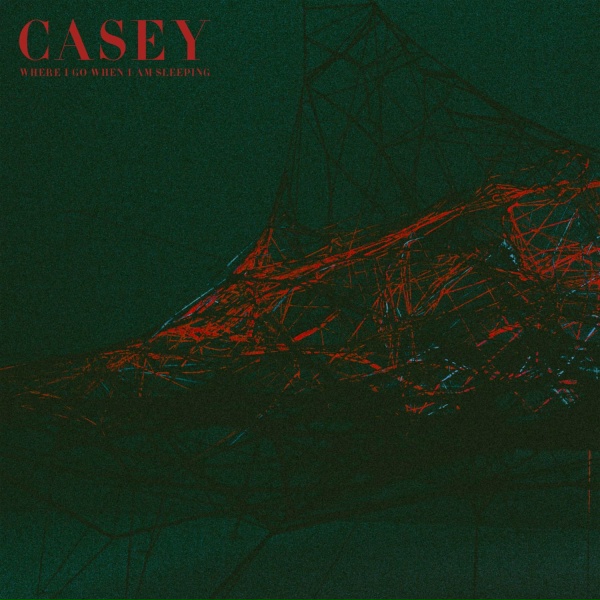 Casey - Flowers by the Bed