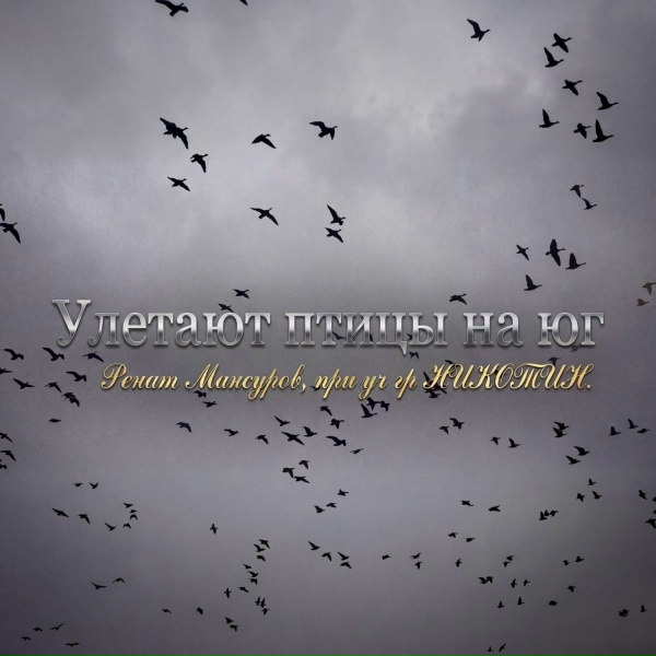 Ренат Мансуров feat. гр НИКОТИН - Улетают птицы на юг