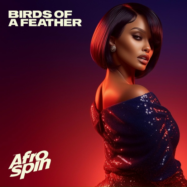 AfroSpin - Birds Of A Feather
