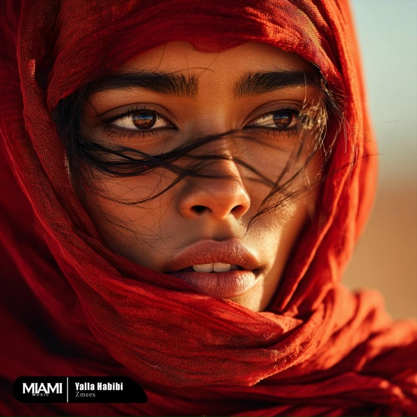 Zmeex - Yalla Habibi