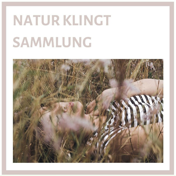 Norman Nacht - Herbstlaub